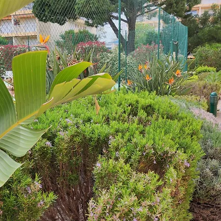 T2 Avec Piscine, Tennis, Petanque, A 4 Min De La Plage Pour 4 Personnes - Fr-1-677-39 Le Lavandou