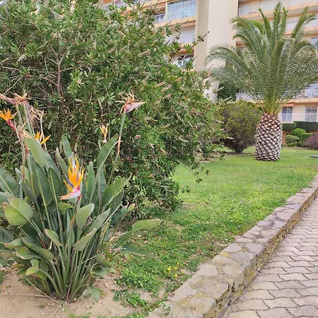 T2 Avec Piscine, Tennis, Petanque, A 4 Min De La Plage Pour 4 Personnes - Fr-1-677-39